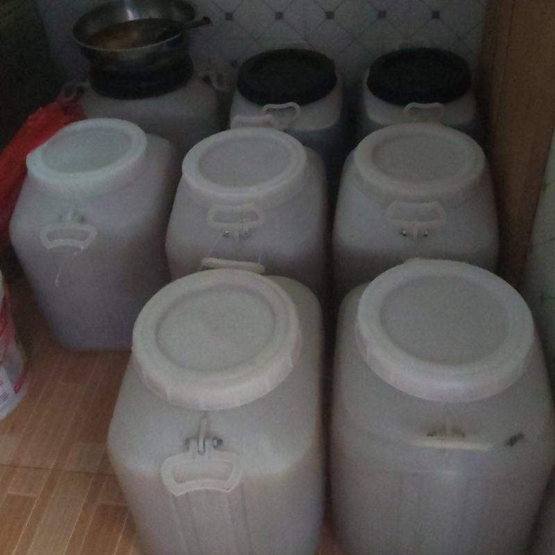蜂蜜，5月11日，现场摇，