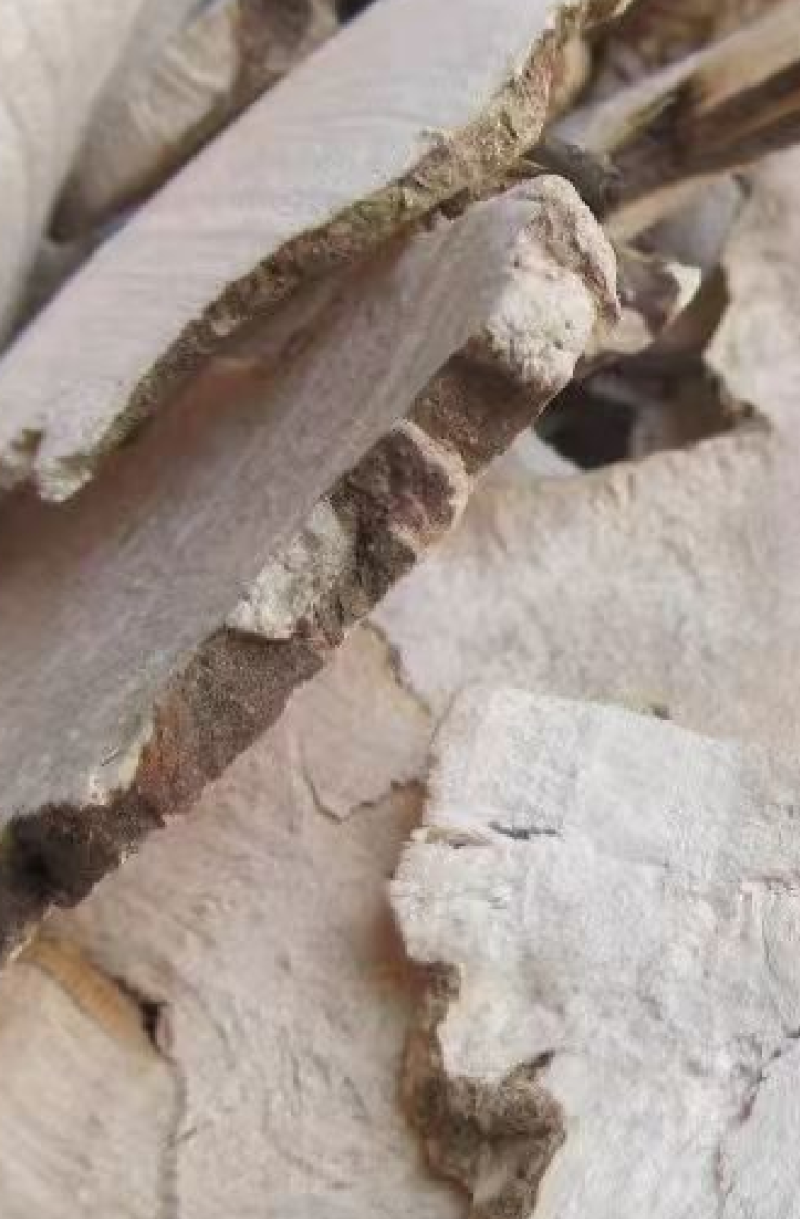 土茯苓白土茯苓货物都是实物拍摄做中药我们只做正品