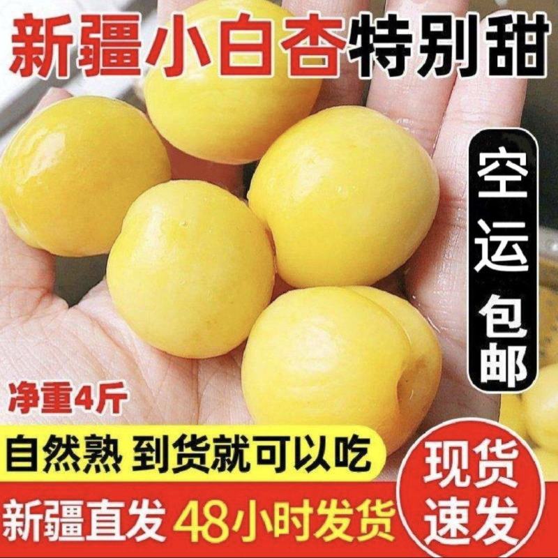 新疆小白杏轮台小白杏现摘现发批发落地配一件代发空运包邮