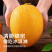 海南凤金6号哈密瓜，大量有货，对接全国市场电商平台