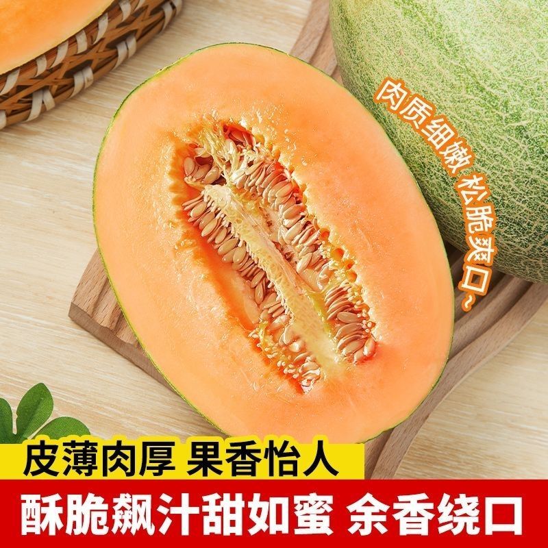 新疆西州蜜17号哈密瓜，产地一手货源对接全国市场电商平台