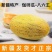 新疆八六王哈密瓜，大量上市可以视频看货，价格可谈欢迎合作