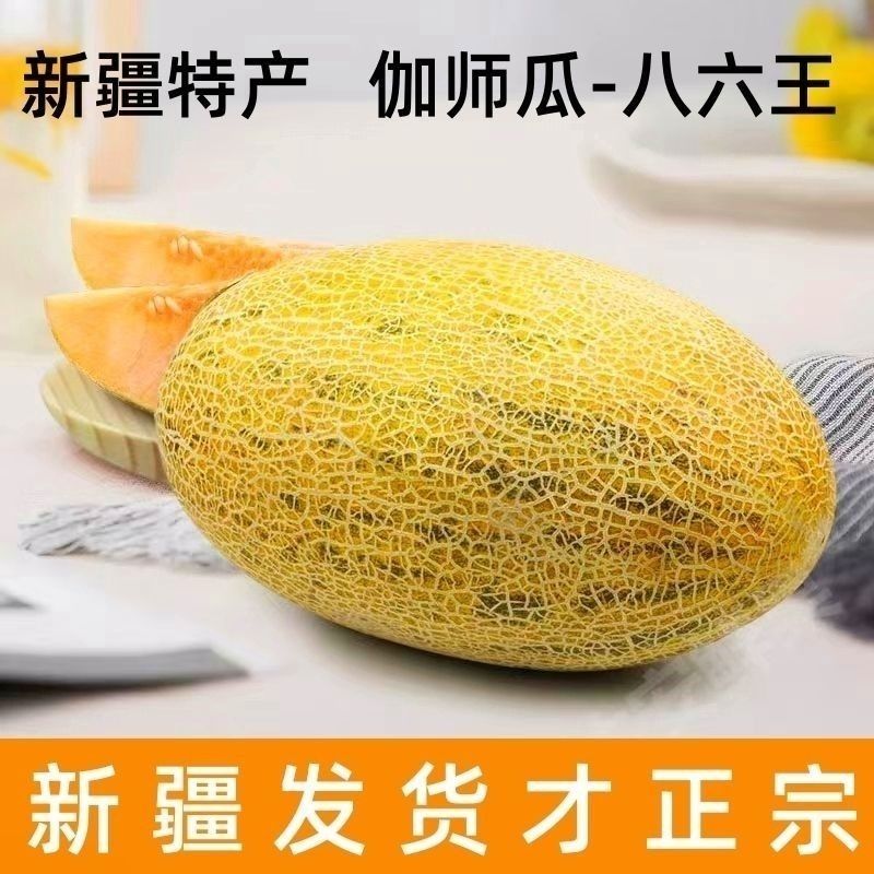 新疆八六王哈密瓜，大量上市可以视频看货，价格可谈欢迎合作