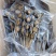 鲍鱼串鲍鱼肉新鲜活鲍加工速冻鲍鱼串串厂家商用批发
