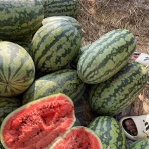 精品绿爽西瓜🍉头茬、皮薄、口感甜、大量上市