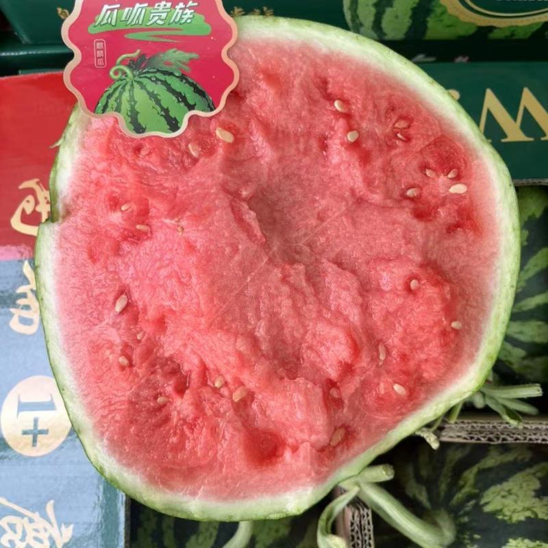 麒麟美都西瓜产地直供大量有货，欢迎大家前来品尝