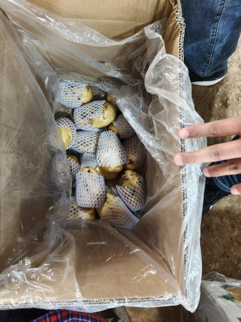 土豆超市**精品