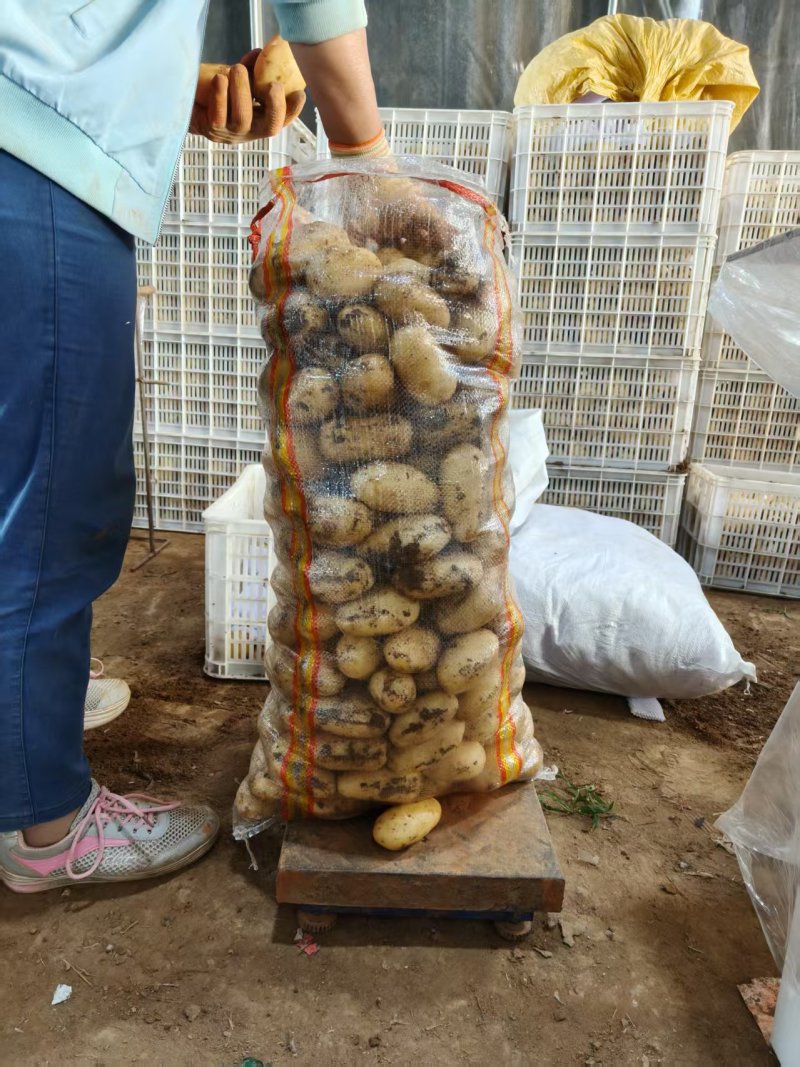 土豆超市**精品
