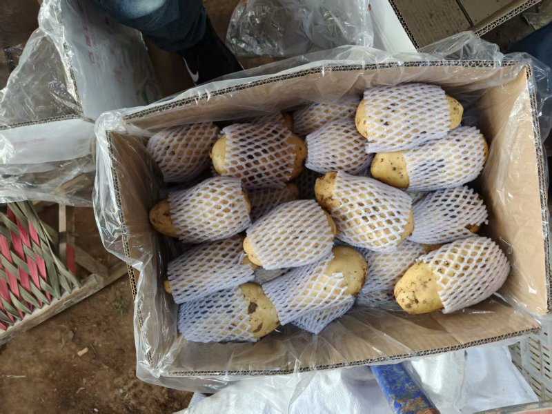 土豆超市**精品