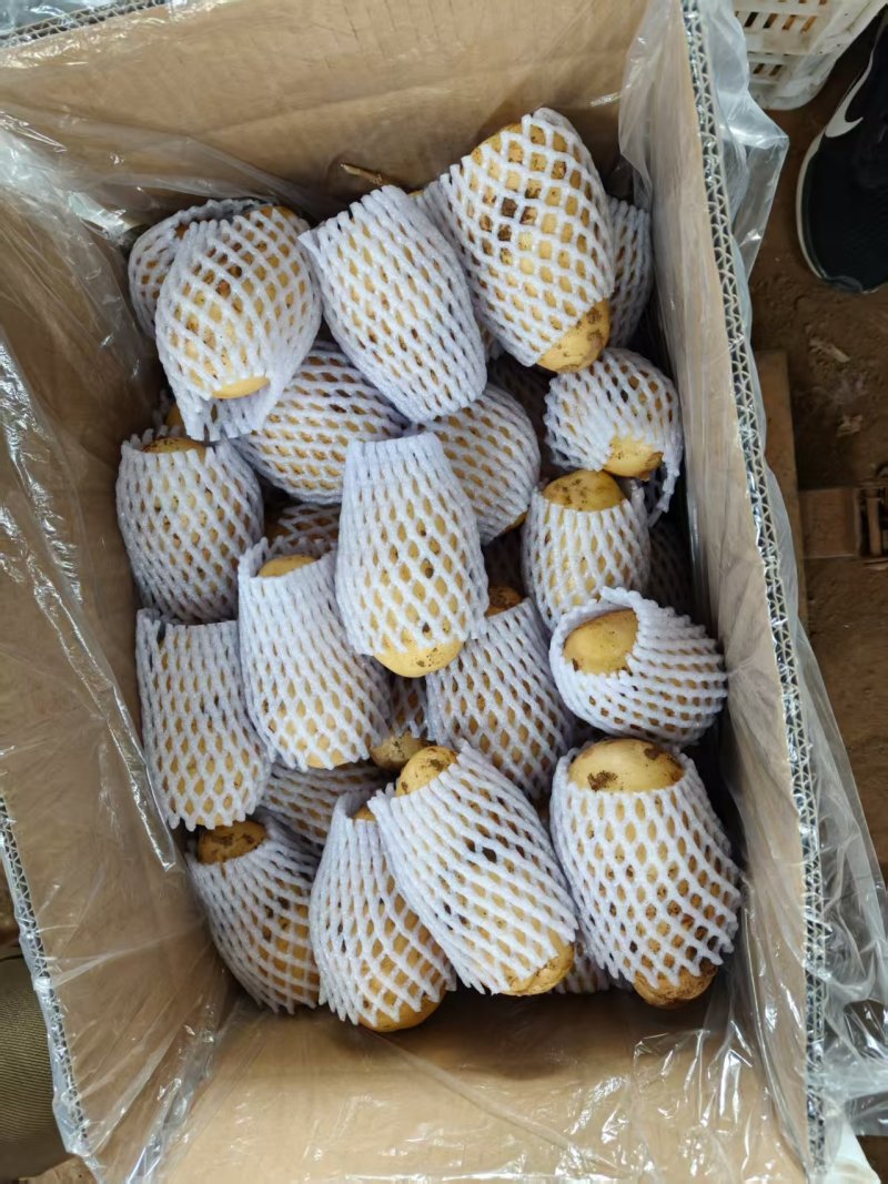 土豆超市**精品