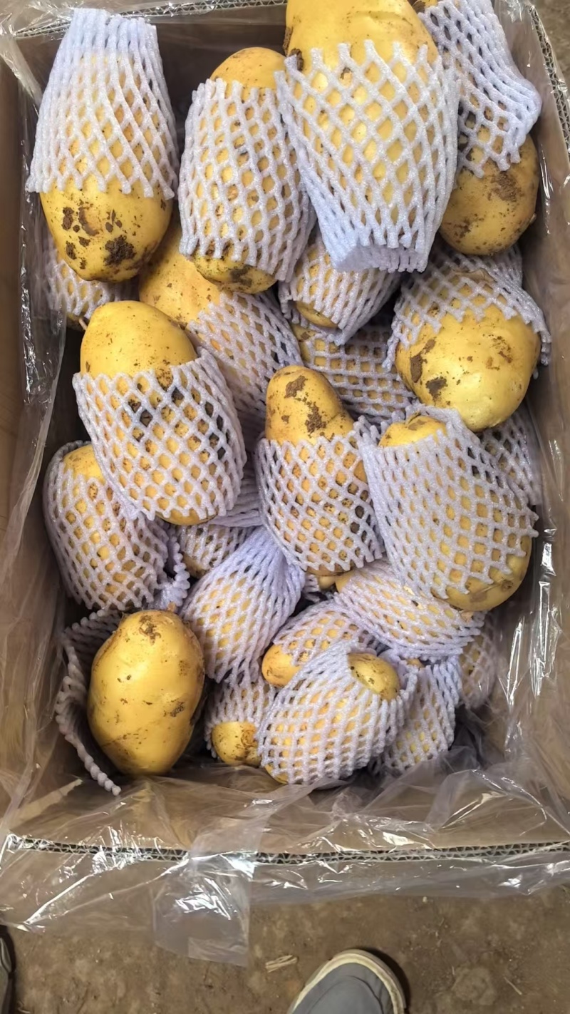 土豆超市**精品