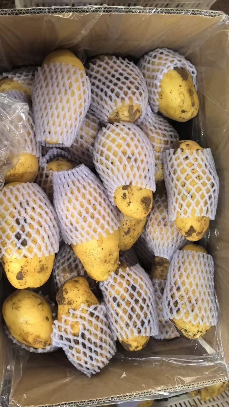 土豆超市**精品