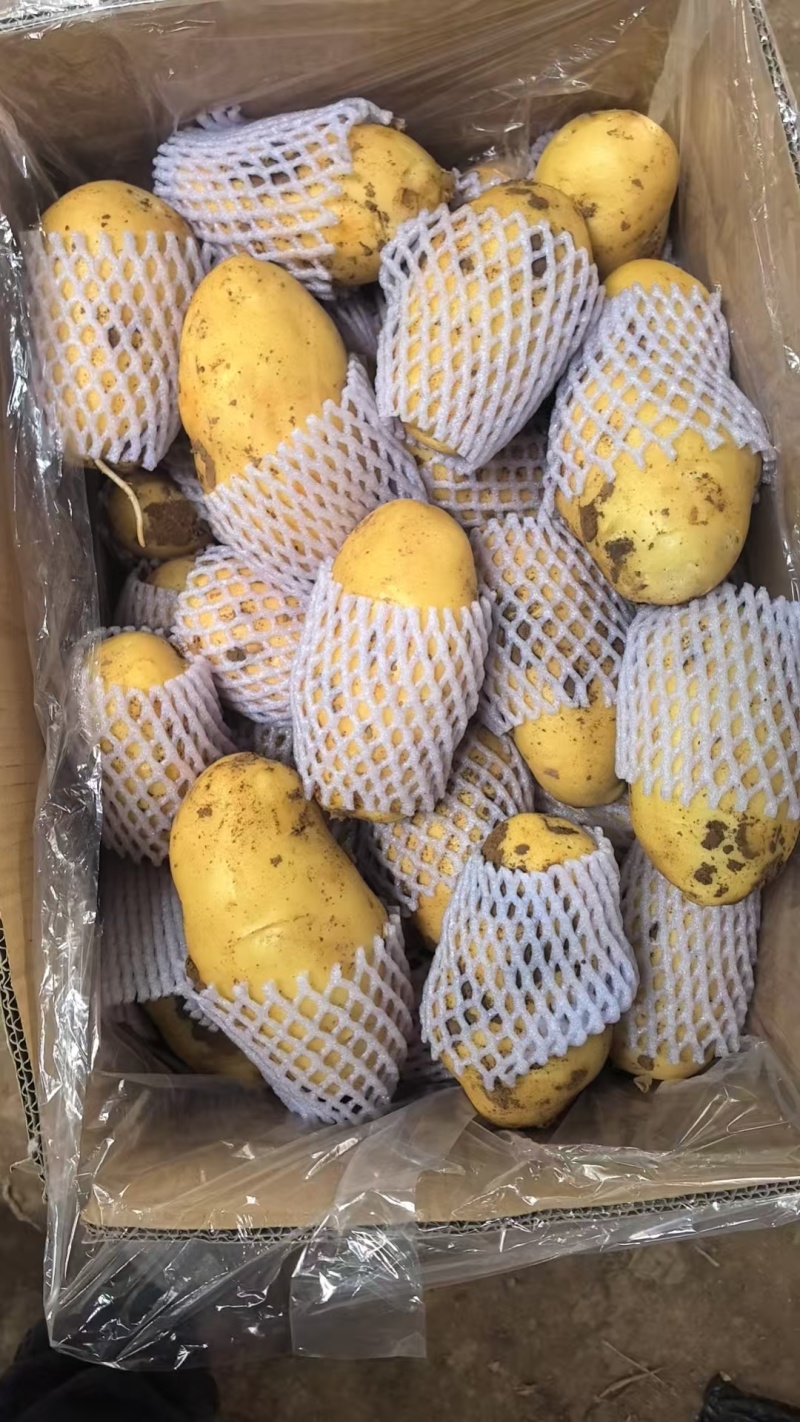 土豆超市**精品