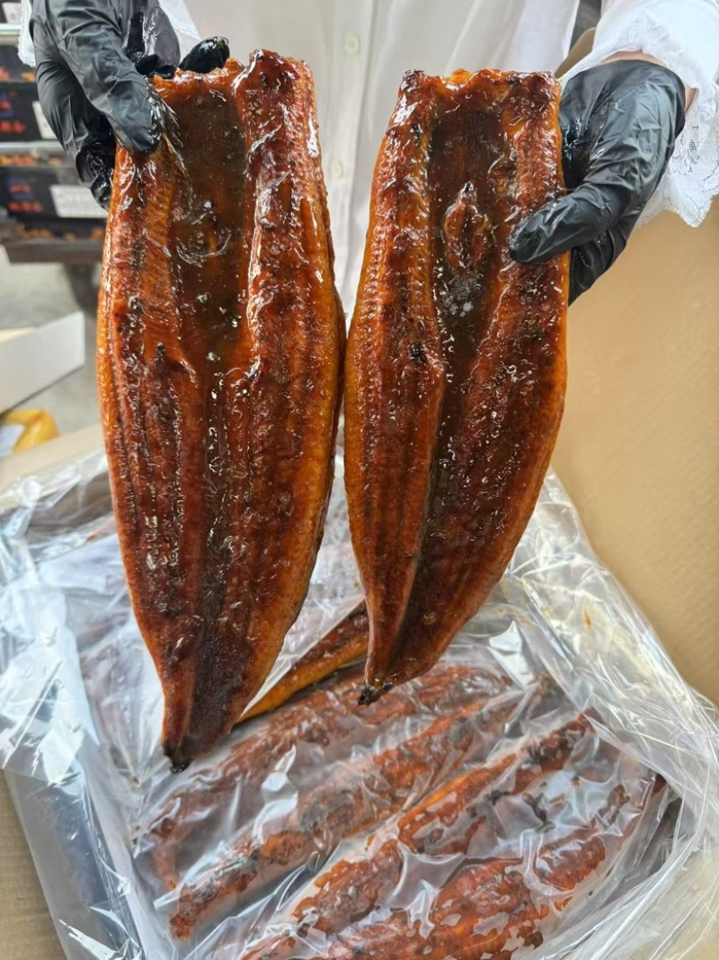 日式蒲烧鳗鱼酒店日式料理寿司食材活鳗烤制碳烤加热即食