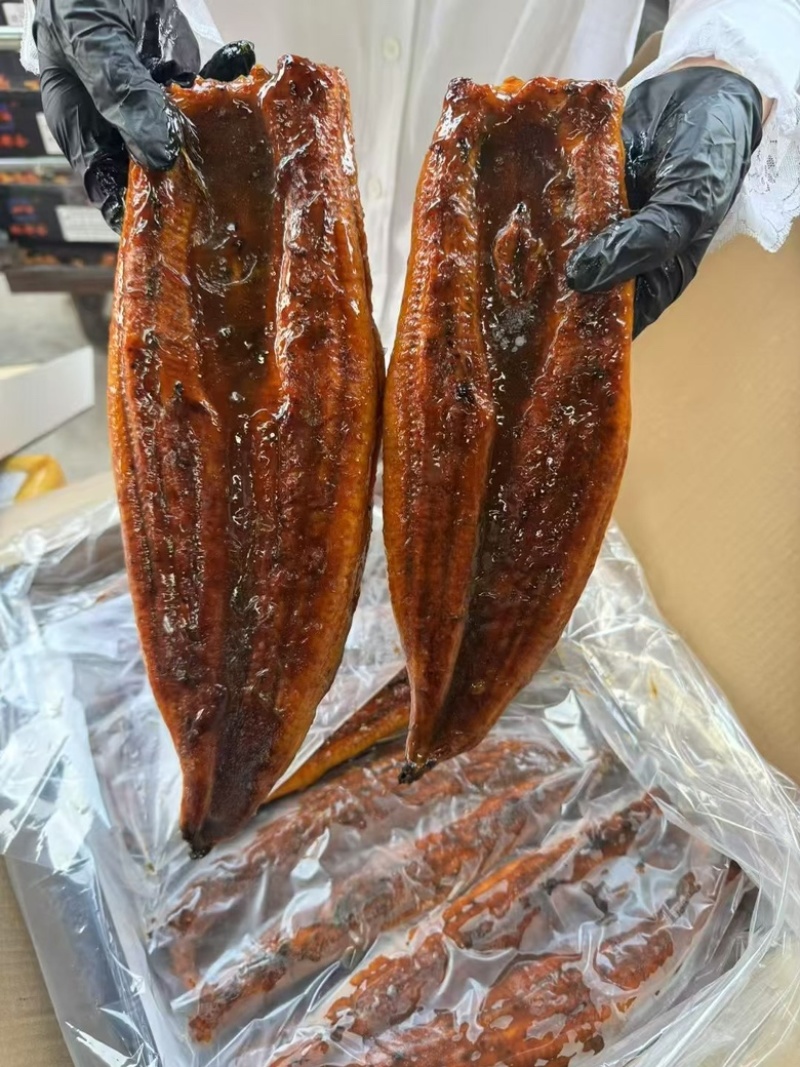 日式蒲烧鳗鱼酒店日式料理寿司食材活鳗烤制碳烤加热即食