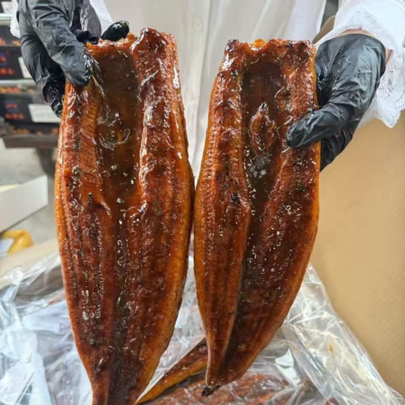 日式蒲烧鳗鱼酒店日式料理寿司食材活鳗烤制碳烤加热即食