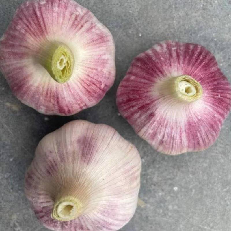 大蒜，新鲜大蒜，