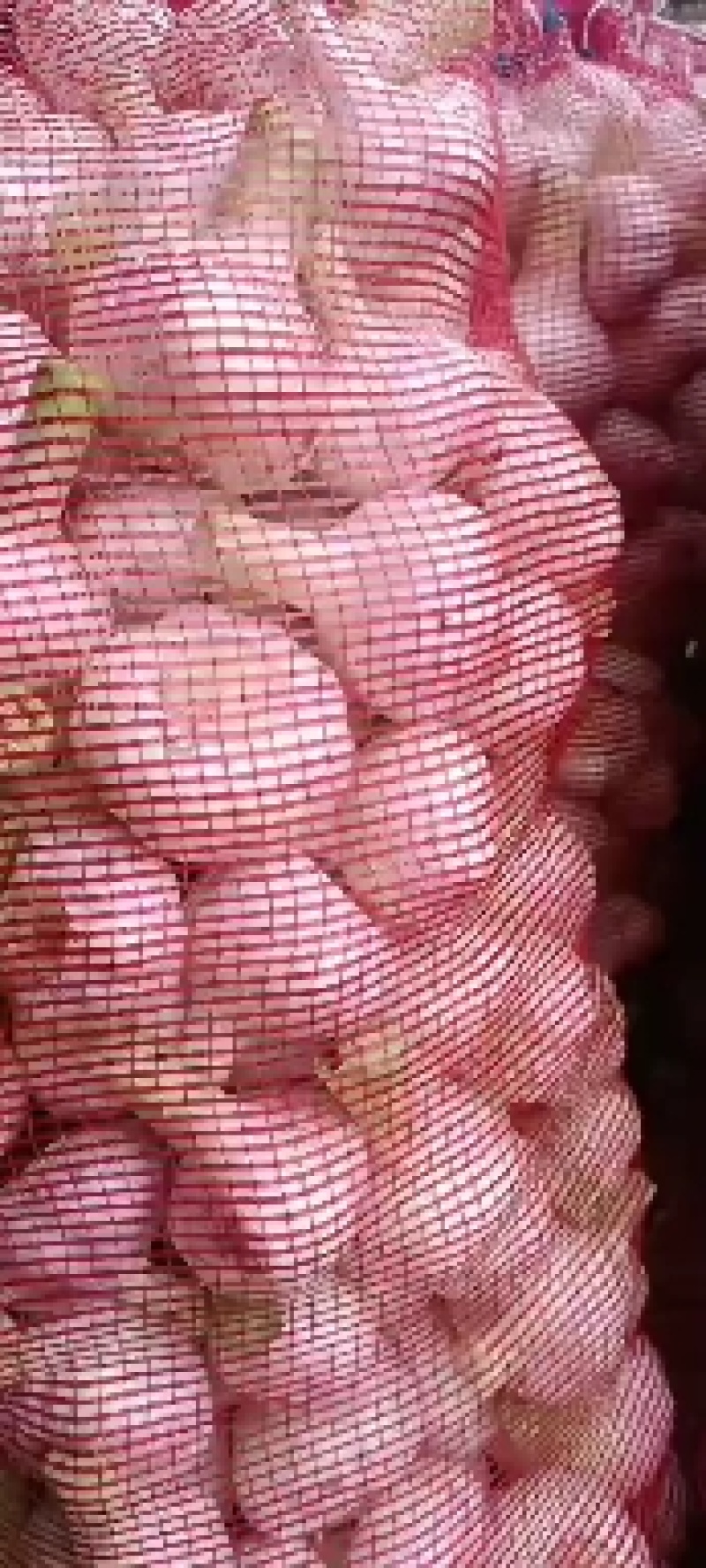 大蒜，新鲜大蒜，