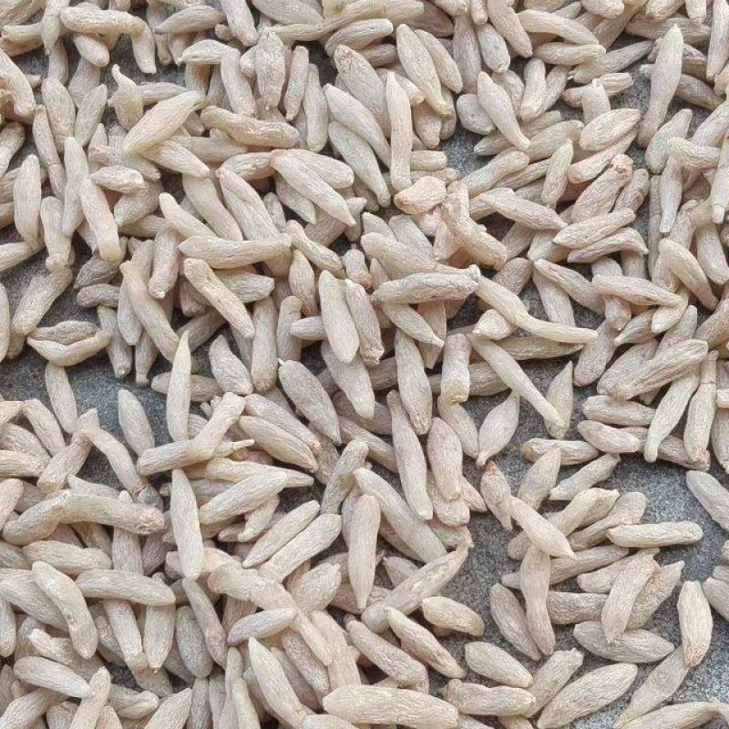 精品涪城麦冬三台麦冬对接药企药材商和电商一手无琉货源