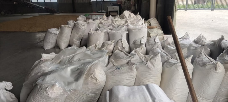 精品涪城麦冬三台麦冬对接药企药材商和电商一手无琉货源