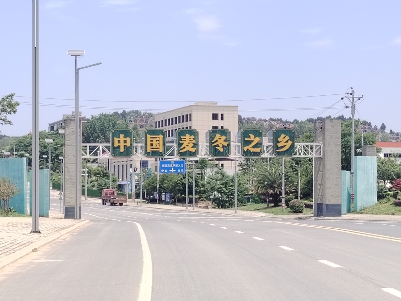 正宗四川川麦冬绵阳三台花园镇产地无琉一等中药材欢迎来咨询