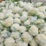 开封花菜精品有机花送花菜菜花一手货源大量货源