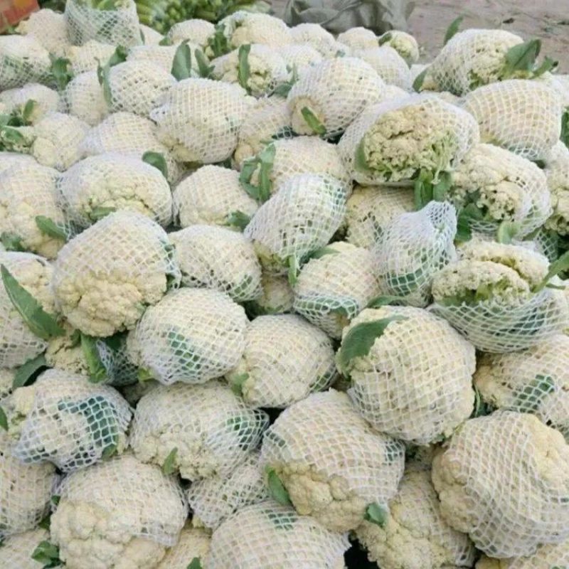 开封花菜精品有机花送花菜菜花一手货源大量货源