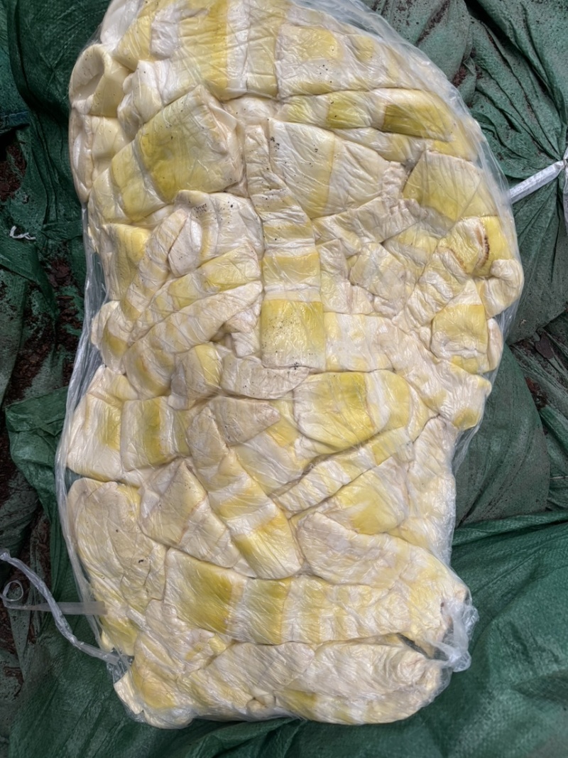 英德产地[笋尖]优质全嫩清水，凉拌专用