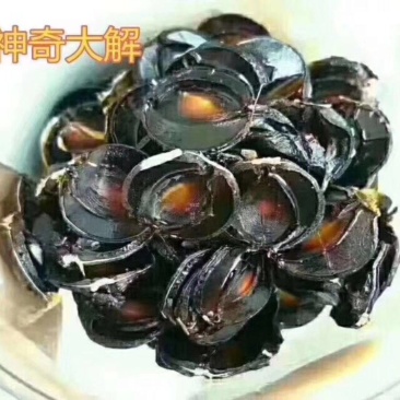 便秘果