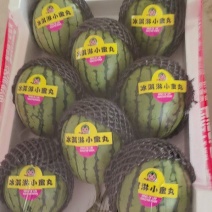 （牛）精品小糖丸西瓜2k小西瓜品质保证量大从优欢迎电联