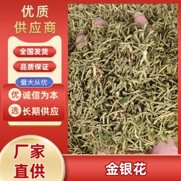 【基地直供】金银花贵州黔西南产地批发常年有货无硫无霉