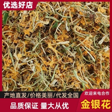野生金银花精选大花有想法的联系