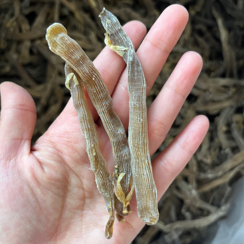正宗沙虫干原色灰沙虫煲汤煮粥海鲜干货批发