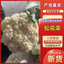 松花菜白面青梗松花菜大量上市可对接商超市场电商