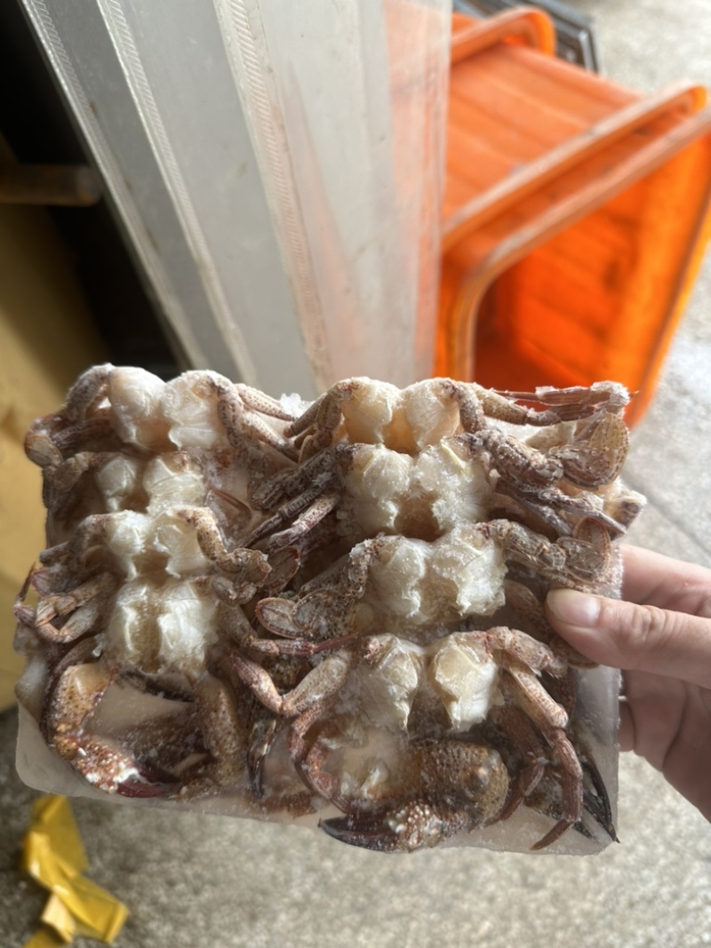 黑蟹排
