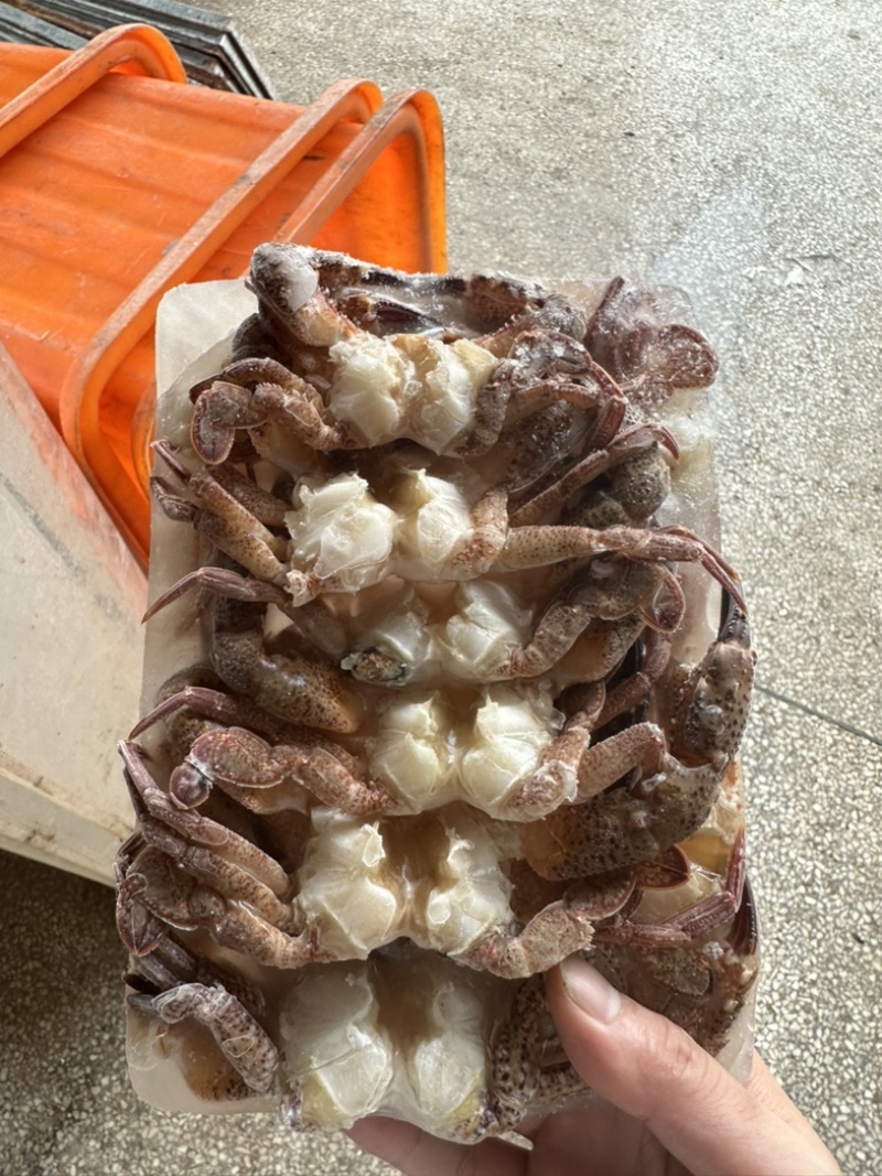 黑蟹排