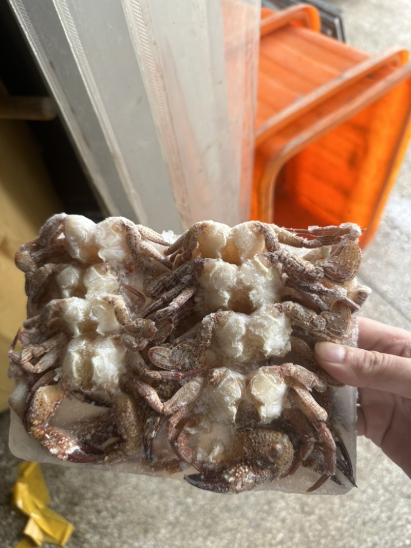 黑蟹排