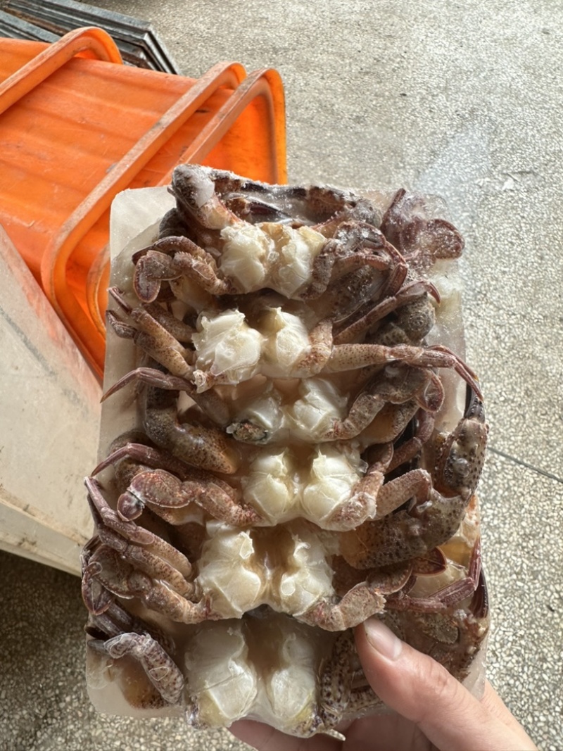 黑蟹排