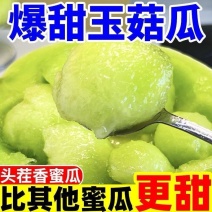 山东玉菇甜瓜品质保障支持一件代发对接各大电商平台