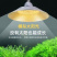 l全光谱室内植物LED补光灯阳台种菜盆栽助生长专用灯