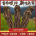 【精品无硫当归】特大条5支一斤岷县产地直发保质保量