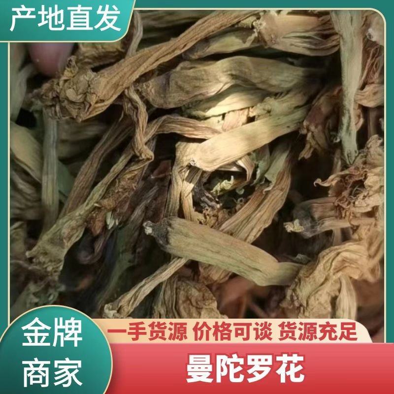 野生草药曼陀螺花茄科胡茄花喇叭花自然晒干无硫磺