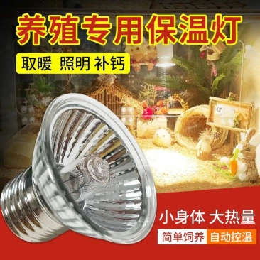 防寒保温取暖灯育雏专用取暖加热加温