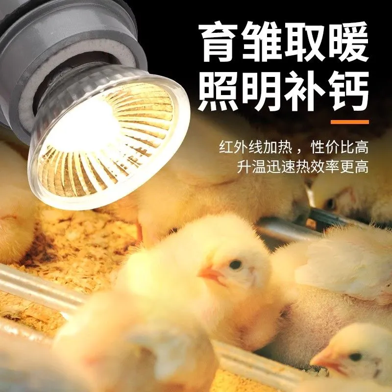 防寒保温取暖灯育雏专用取暖加热加温