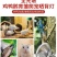 防寒保温取暖灯育雏专用取暖加热加温