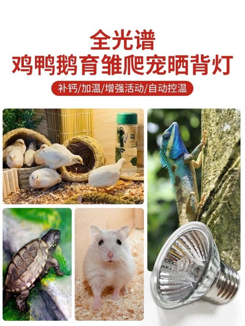 防寒保温取暖灯育雏专用取暖加热加温