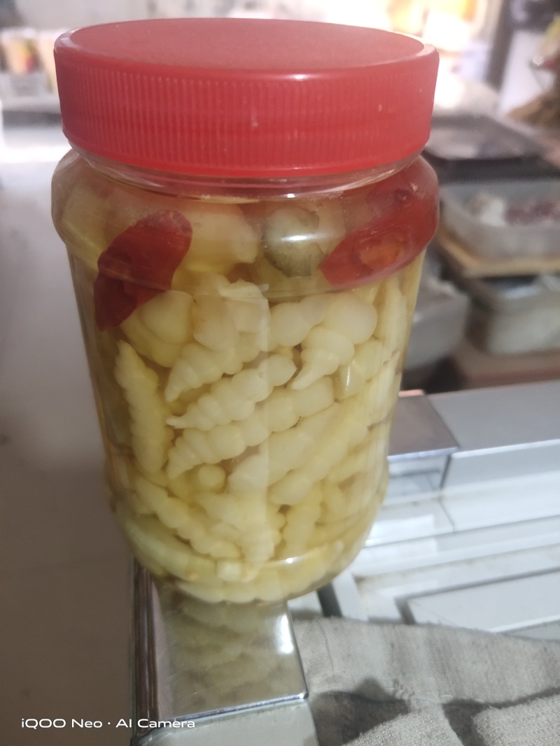 地藕(螺丝就)