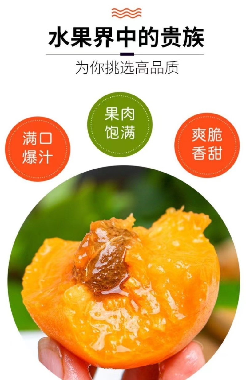 陕西大红杏，源头产地，日照时间足，口感香甜