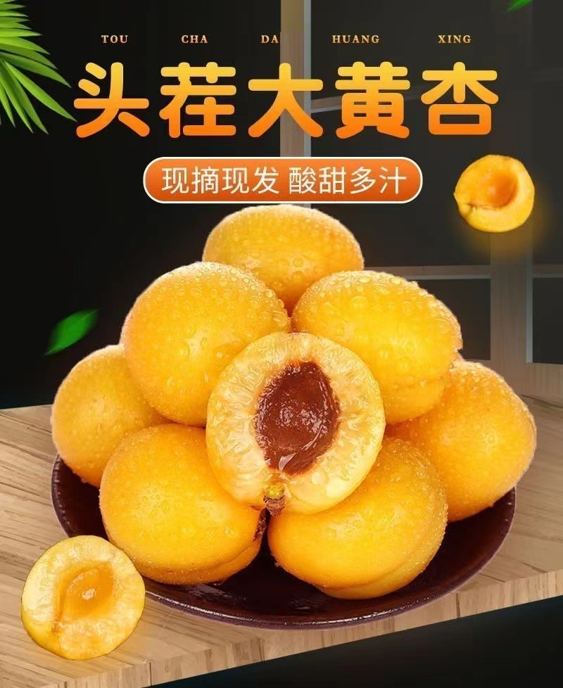 陕西大红杏，源头产地，日照时间足，口感香甜