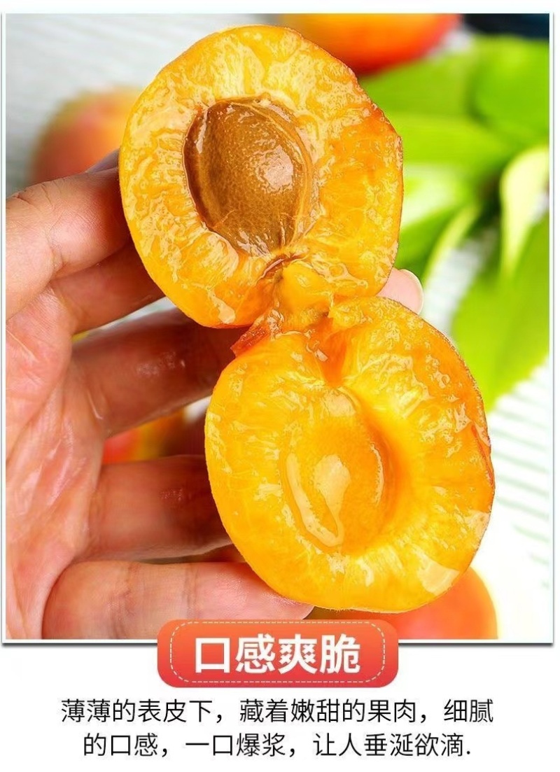 陕西大红杏，源头产地，日照时间足，口感香甜